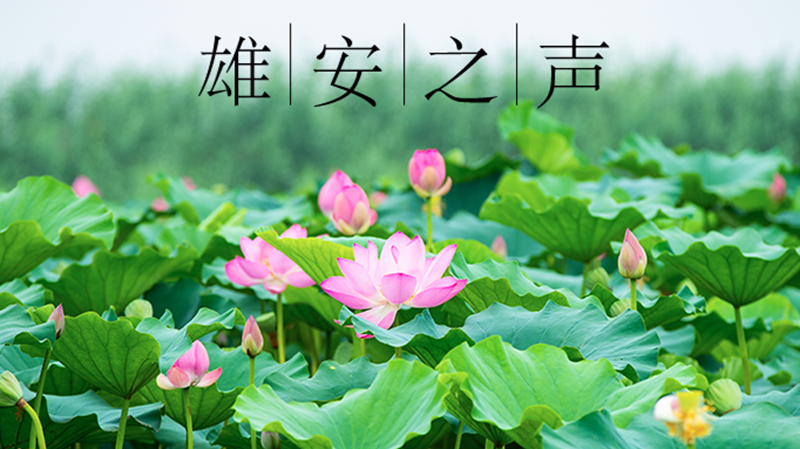 【新金宝官方网站入口之声】20210727