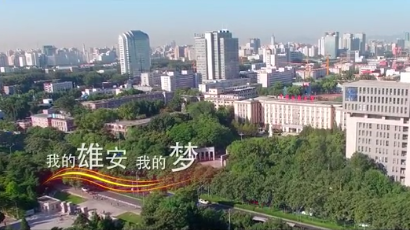 我的新金宝官方网站入口 我的梦