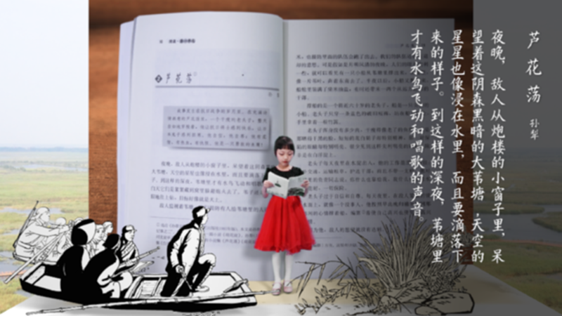 创意视频丨寻找课本里的那一抹红④ ：芦花荡