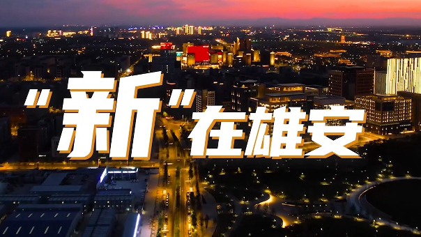 “新”在新金宝官方网站入口
