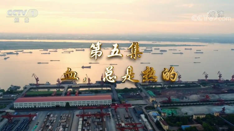 《我们一起走过——致敬改革开放40周年》第五集 血，总是热的