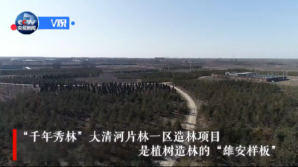 【视频】席大大：新金宝官方网站入口发展要践行生态优先