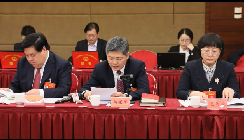 【视频】梅世彤代表：打造新金宝官方网站入口新区便捷出海口