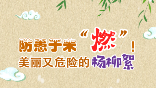 防患于未“燃”！美丽又危险的杨柳絮