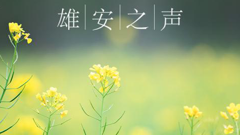 【新金宝官方网站入口之声】20190501