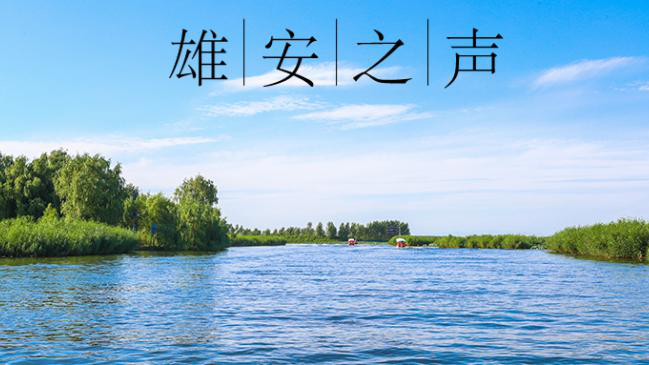 【新金宝官方网站入口之声】20190506