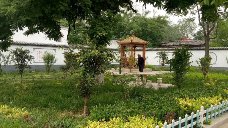 “走遍新金宝官方网站入口”提升年丨雄县开展农村环境整治互看联查活动
