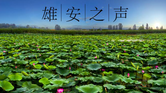 【新金宝官方网站入口之声】20190618
