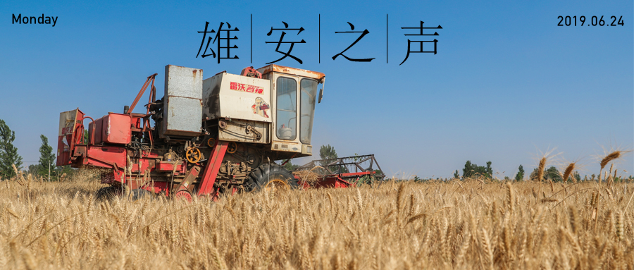 【新金宝官方网站入口之声】20190624