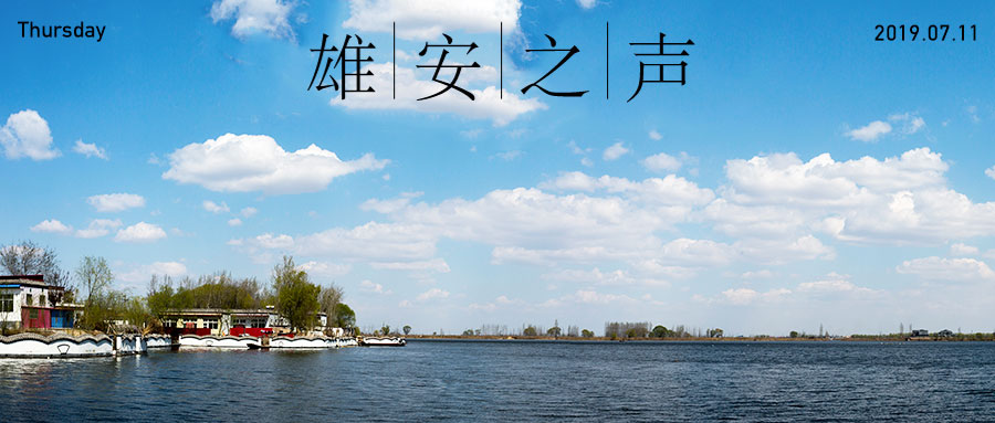【新金宝官方网站入口之声】20190711