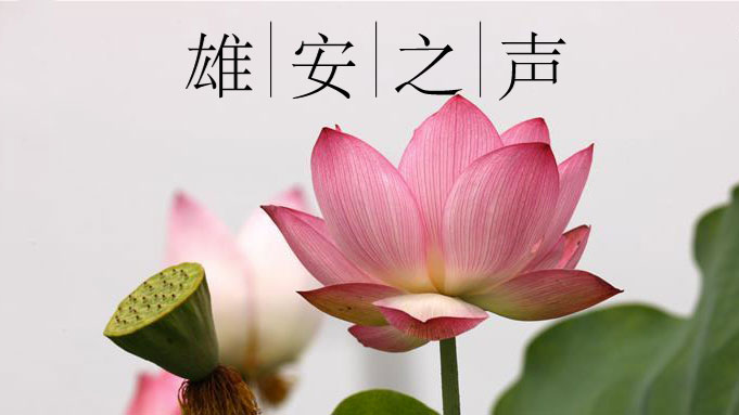 【新金宝官方网站入口之声】20190716