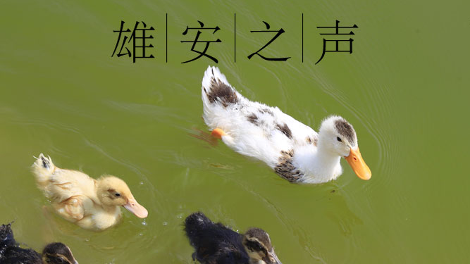 【新金宝官方网站入口之声】20190717