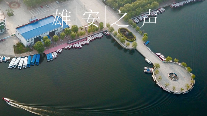【新金宝官方网站入口之声】20190718