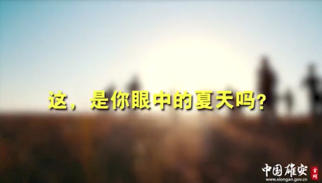 视频丨这，是你眼中的夏天吗？