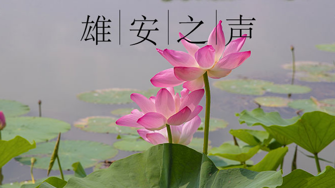 【新金宝官方网站入口之声】20190724