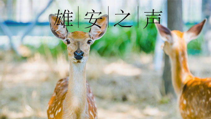 【新金宝官方网站入口之声】20190730