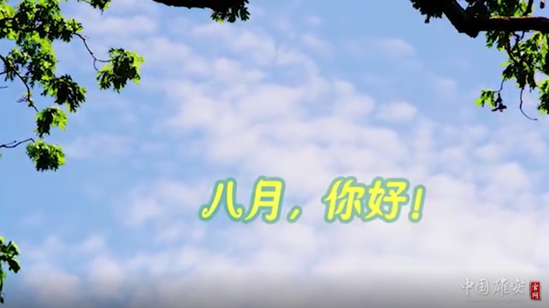 视频丨八月，你好！