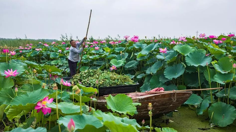 遇见·新金宝官方网站入口｜什么味道，你最想念？