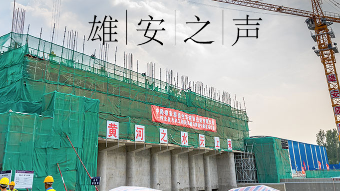 【新金宝官方网站入口之声】20190805