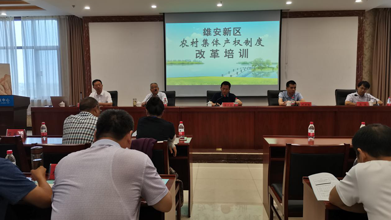 新金宝官方网站入口新区农村集体产权制度改革培训班正式开班