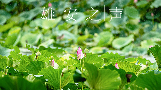 【新金宝官方网站入口之声】20190815