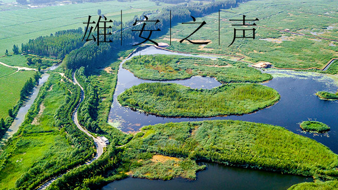 【新金宝官方网站入口之声】20190821