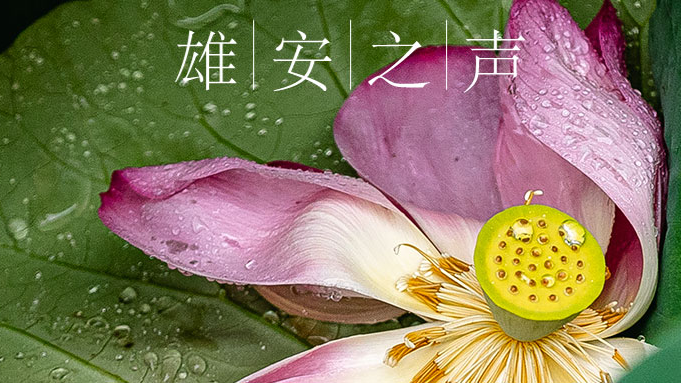 【新金宝官方网站入口之声】20190823
