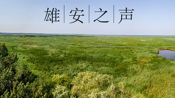 【新金宝官方网站入口之声】20190902