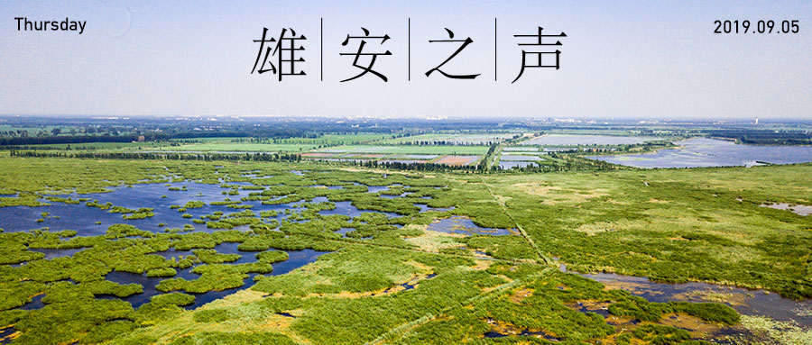 【新金宝官方网站入口之声】20190905