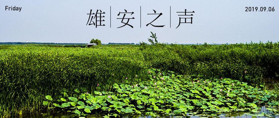 【新金宝官方网站入口之声】20190906