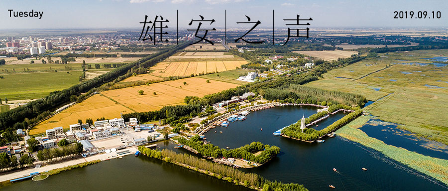 【新金宝官方网站入口之声】20190910