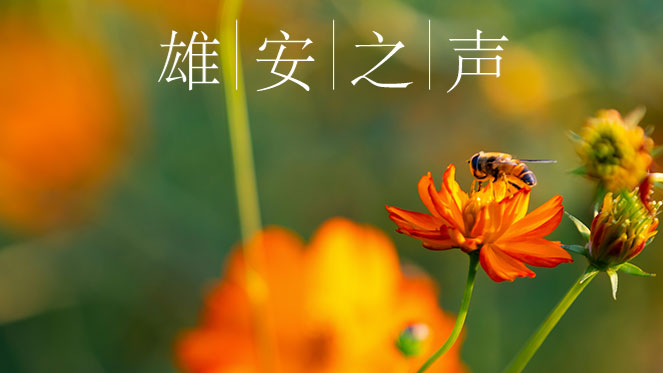 【新金宝官方网站入口之声】20190918