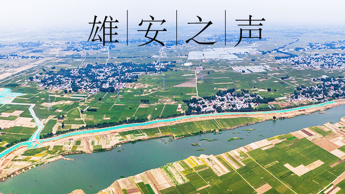 【新金宝官方网站入口之声】20190919