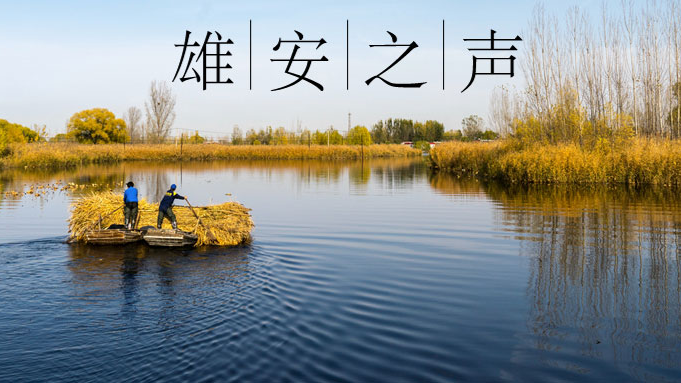 【新金宝官方网站入口之声】20191029