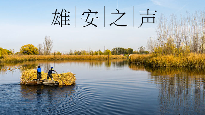【新金宝官方网站入口之声】20191107