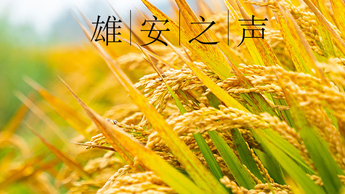 【新金宝官方网站入口之声】20191119