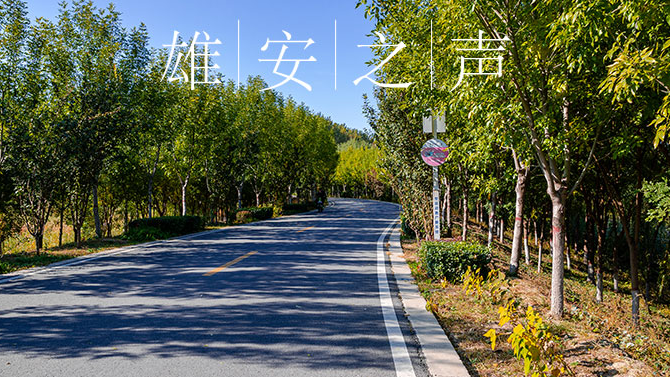【新金宝官方网站入口之声】20191120