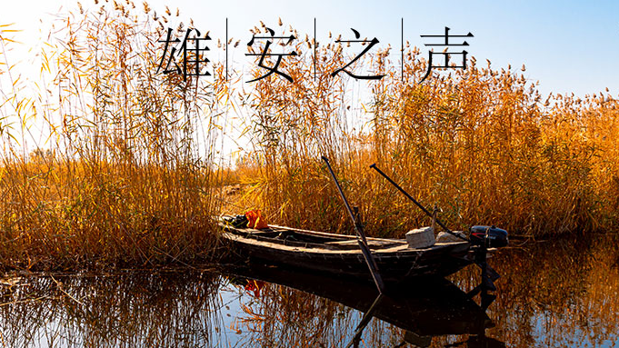 【新金宝官方网站入口之声】20191213
