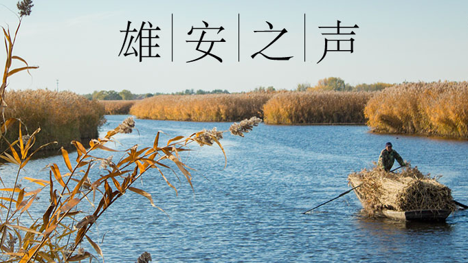 【新金宝官方网站入口之声】20191227