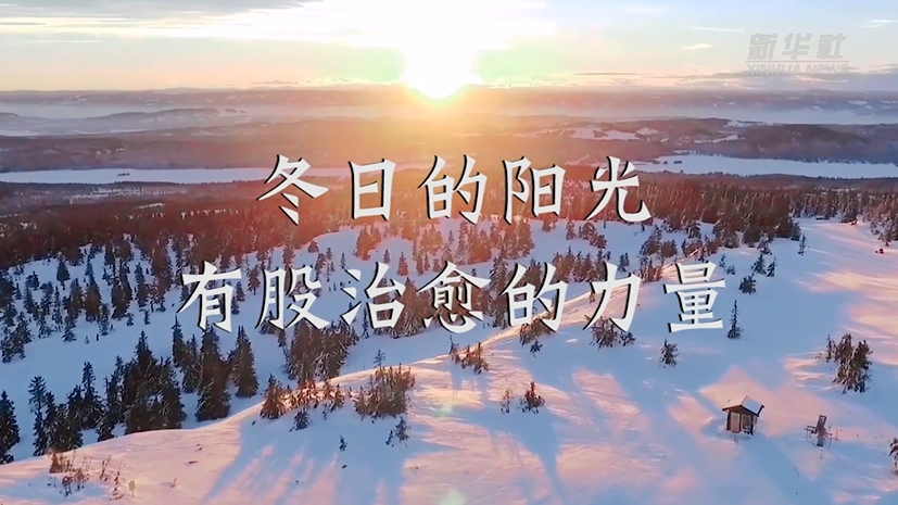 冬日的阳光，有股治愈的力量