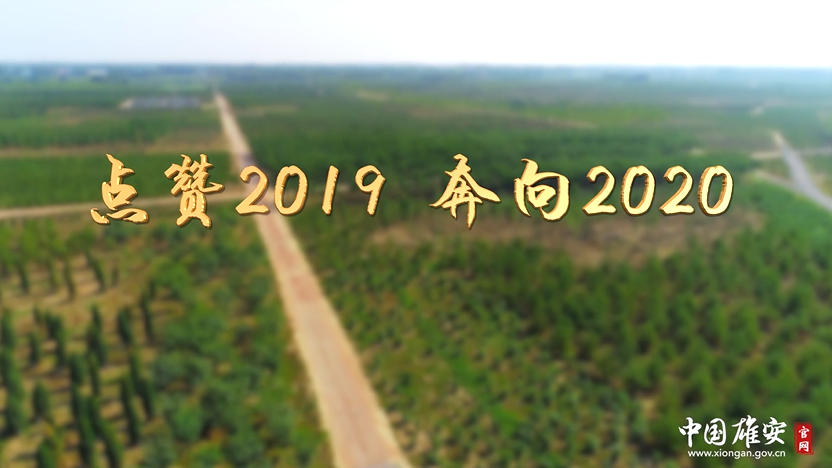 点赞2019！奔向2020！