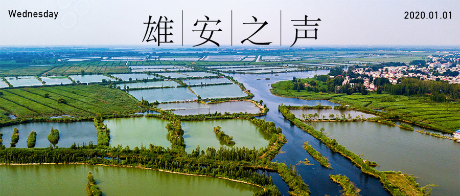 【新金宝官方网站入口之声】20200101