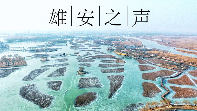 【新金宝官方网站入口之声】20200103
