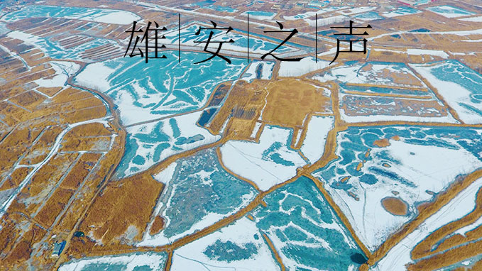 【新金宝官方网站入口之声】20200110
