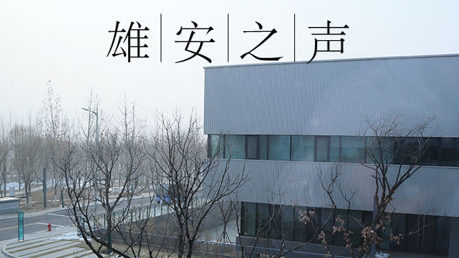 【新金宝官方网站入口之声】20200120