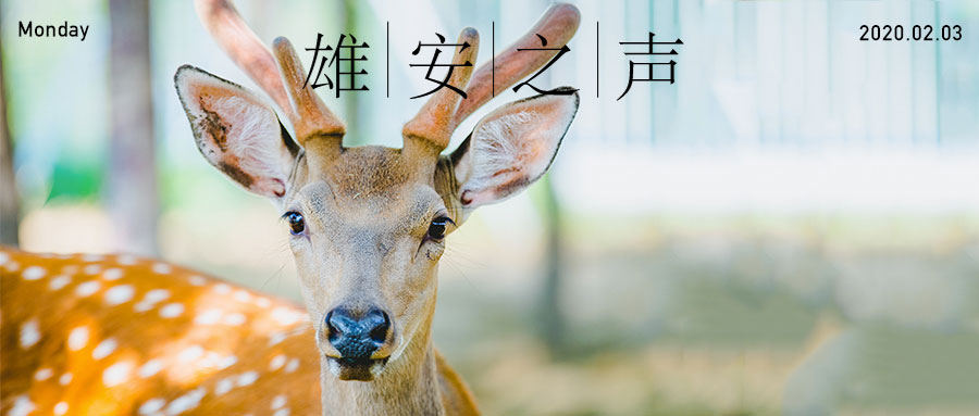 【新金宝官方网站入口之声】20200203
