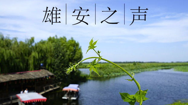 【新金宝官方网站入口之声】20200205