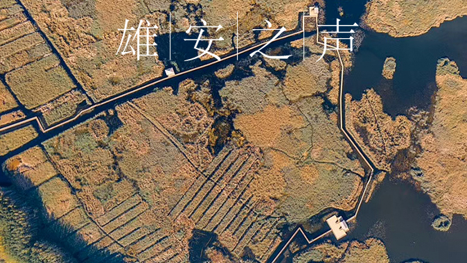 【新金宝官方网站入口之声】20200316