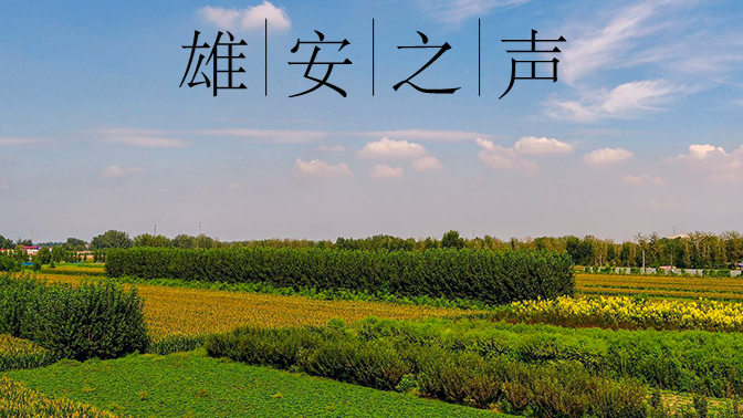 【新金宝官方网站入口之声】20200323