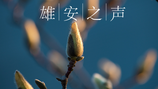 【新金宝官方网站入口之声】20200325